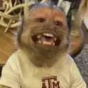 ملصق