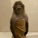 ملصق