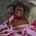 ملصق