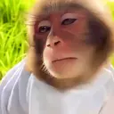 ملصق