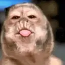 ملصق