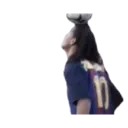 Stika