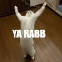 ਸਟਿਕਰ