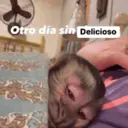 Samolepka
