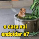 Figurinha