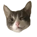 ਸਟਿਕਰ