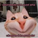 Klistermärke