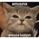 Klistermärke