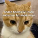 Klistermärke