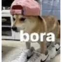 Figurinha