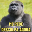 Figurinha