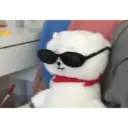 ਸਟਿਕਰ