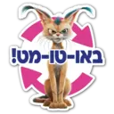 Stiker