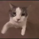 Çıkartma