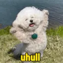Límmiði