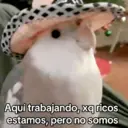 Figurinha