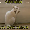 贴纸
