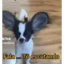 Figurinha