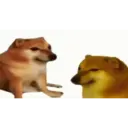 Límmiði
