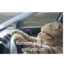 Límmiði