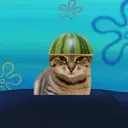 Límmiði