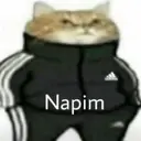 Límmiði