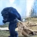 Стикер