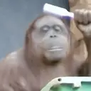 스티커