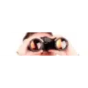 贴纸