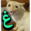 ملصق