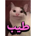 ملصق