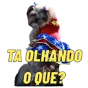 Figurinha