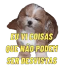 Figurinha