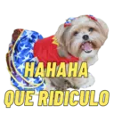 Figurinha