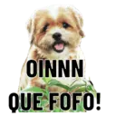 Figurinha