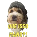 Figurinha
