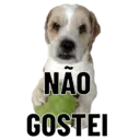 Figurinha