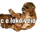 Figurinha
