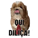 Figurinha