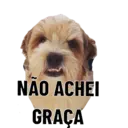 Figurinha