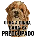 Figurinha