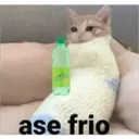 Figurinha