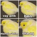 ਸਟਿਕਰ