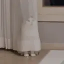 ملصق