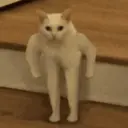 ملصق