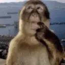 ملصق