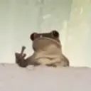 ملصق