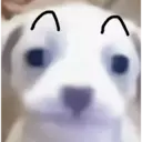 ملصق