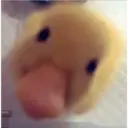 ملصق