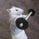 Çıkartma
